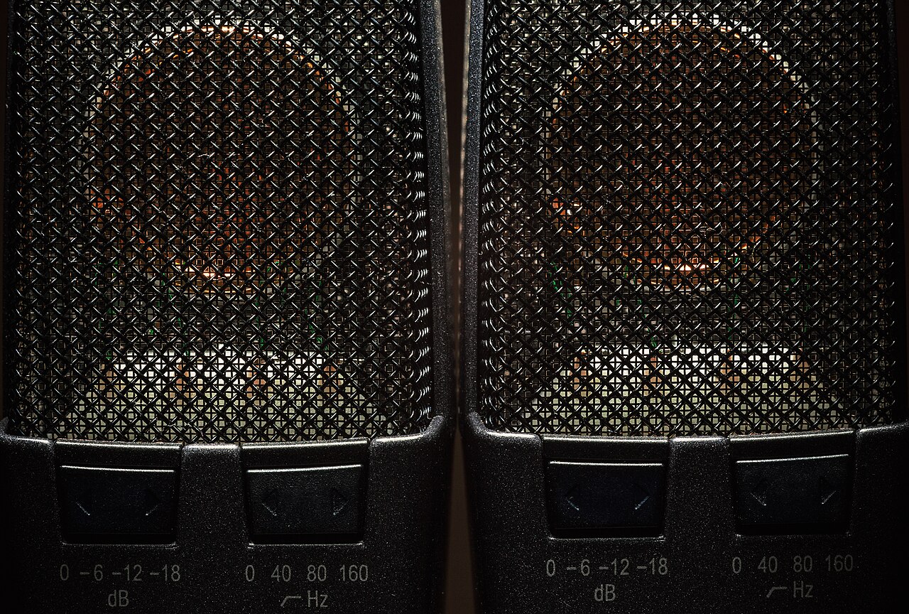 Studio condenser microphone